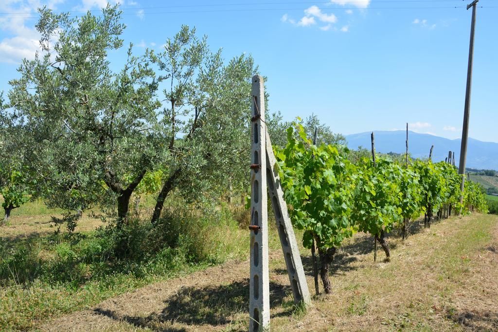 Casale Fusco Villa Spoleto Exterior foto